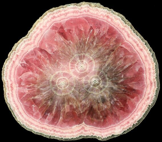 Rhodochrosite Stalactite Slice - Collector Specimen #63153